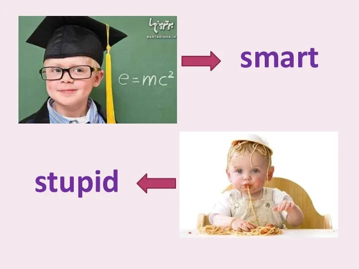 stupid smart