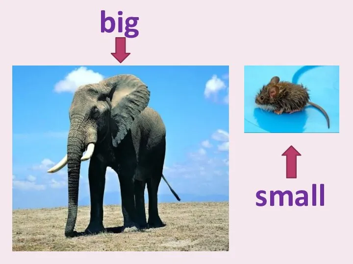 big small