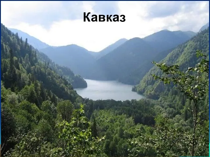 Кавказ