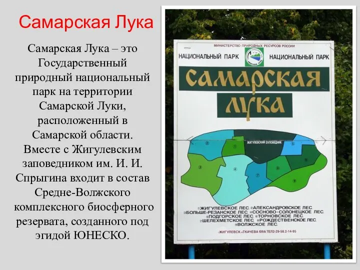 Самарская Лука – это Государственный природный национальный парк на территории Самарской