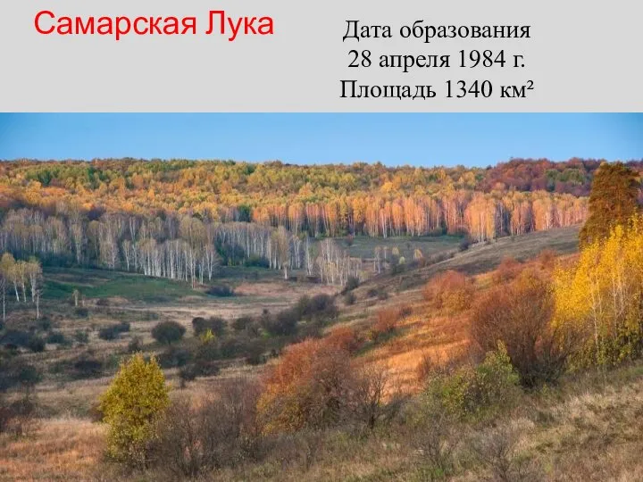 Дата образования 28 апреля 1984 г. Площадь 1340 км² Самарская Лука