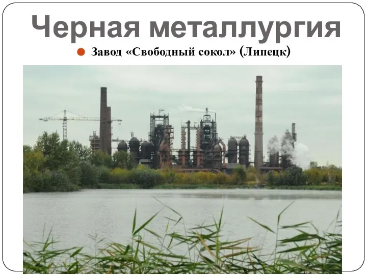 Черная металлургия Завод «Свободный сокол» (Липецк)