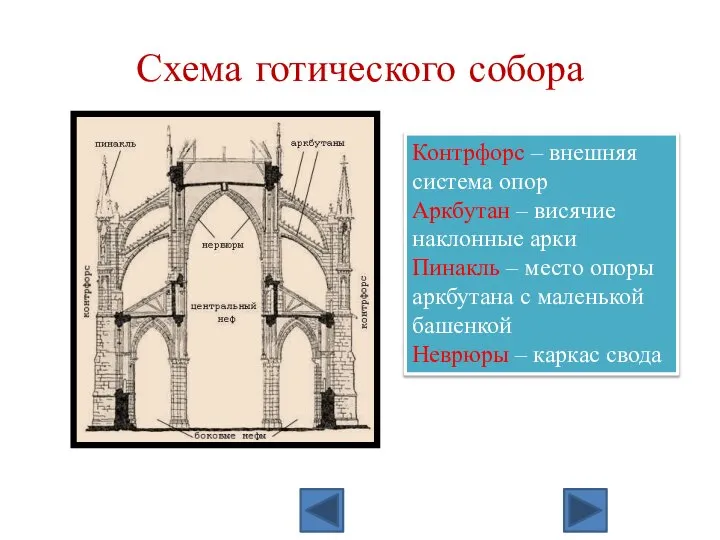 Схема готического собора Контрфорс – внешняя система опор Аркбутан – висячие
