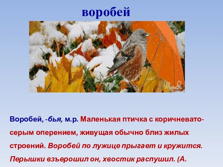 Воробей, -бья, м.р. Маленькая птичка с коричневато-серым оперением, живущая обычно близ