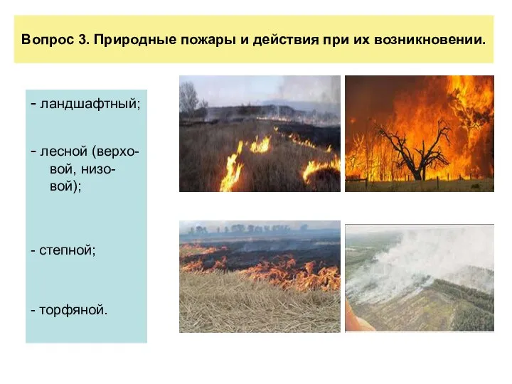 Вопрос 3. Природные пожары и действия при их возникновении. - ландшафтный;