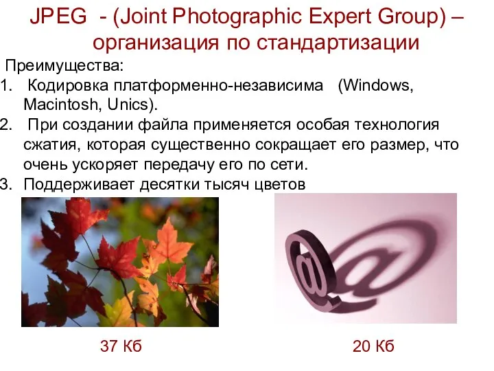 JPEG - (Joint Photographic Expert Group) – организация по стандартизации Преимущества: