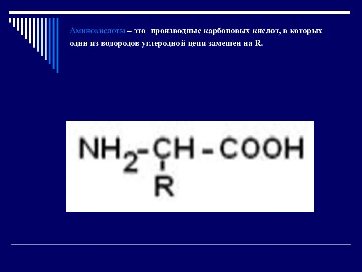 Аминокислоты – это производные карбоновых кислот, в которых один из водородов углеродной цепи замещен на R.