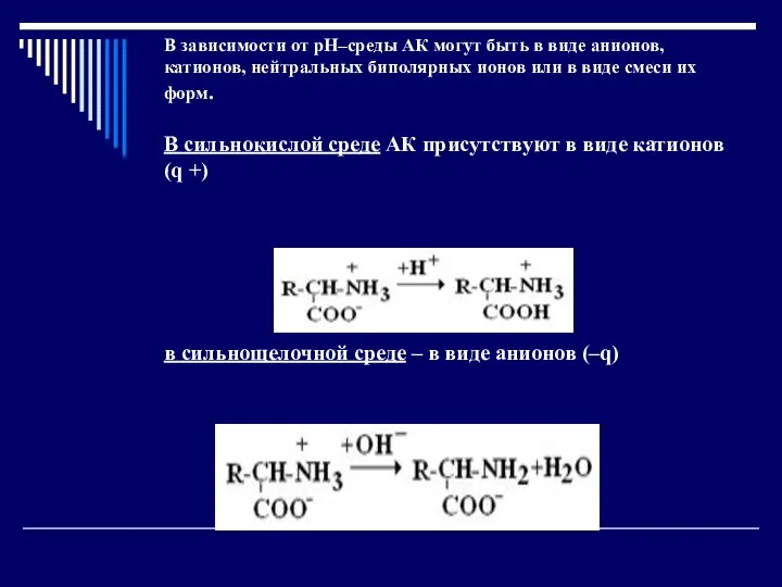 В зависимости от рН–среды АК могут быть в виде анионов, катионов,