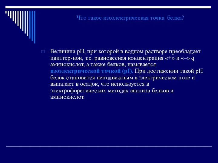 Что такое изоэлектрическая точка белка? Величина рН, при которой в водном