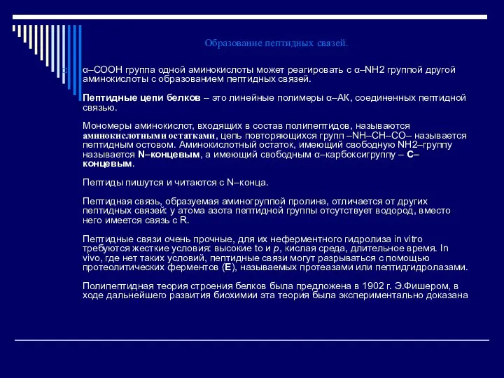 Образование пептидных связей. α–СООН группа одной аминокислоты может реагировать с α–NH2