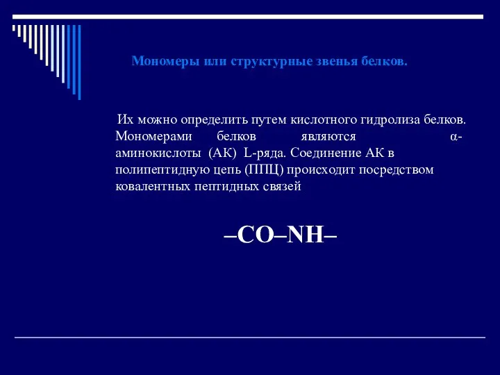 Мономеры или структурные звенья белков. Их можно определить путем кислотного гидролиза