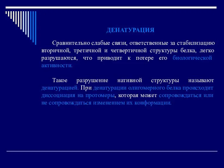 ДЕНАТУРАЦИЯ Сравнительно слабые связи, ответственные за стабилизацию вторичной, третичной и четвертичной