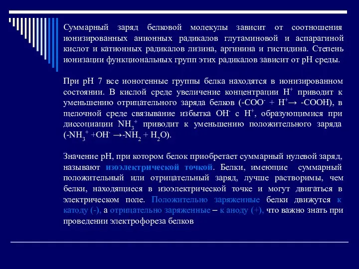 Суммарный заряд белковой молекулы зависит от соотношения ионизированных анионных радикалов глутаминовой