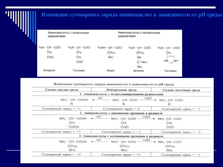 Изменение суммарного заряда аминокислот в зависимости от рН среды