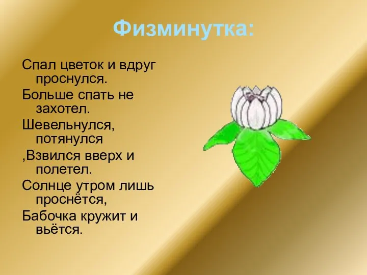 Физминутка: Спал цветок и вдруг проснулся. Больше спать не захотел. Шевельнулся,