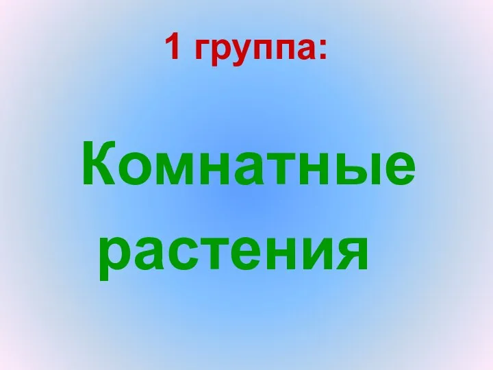 1 группа: Комнатные растения