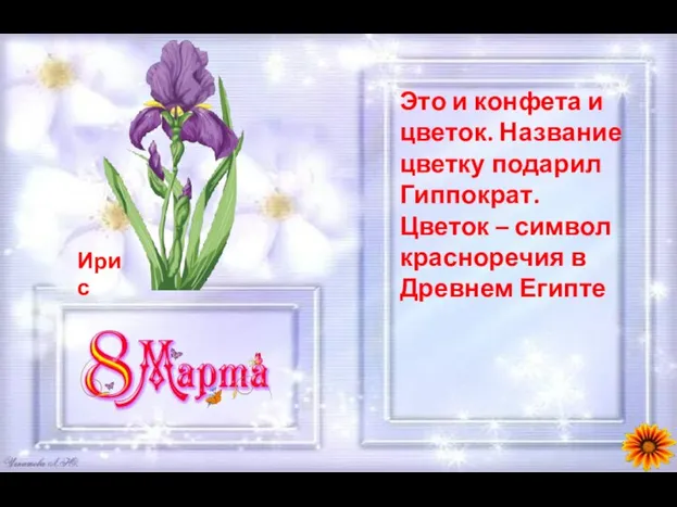 Это и конфета и цветок. Название цветку подарил Гиппократ. Цветок – символ красноречия в Древнем Египте