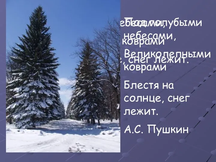 Под голубыми небесами, Великолепными коврами Блестя на солнце, снег лежит. А.С.