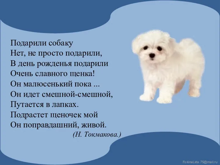 Подарили собаку Нет, не просто подарили, В день рожденья подарили Очень