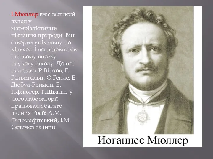 І.Мюллер вніс великий вклад у матеріалістичне пізнання природи. Він створив унікальну