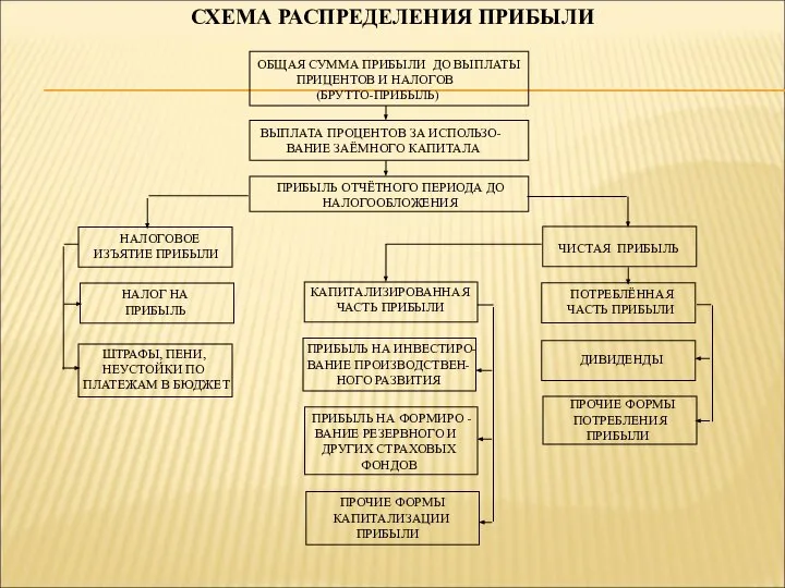 СХЕМА РАСПРЕДЕЛЕНИЯ ПРИБЫЛИ