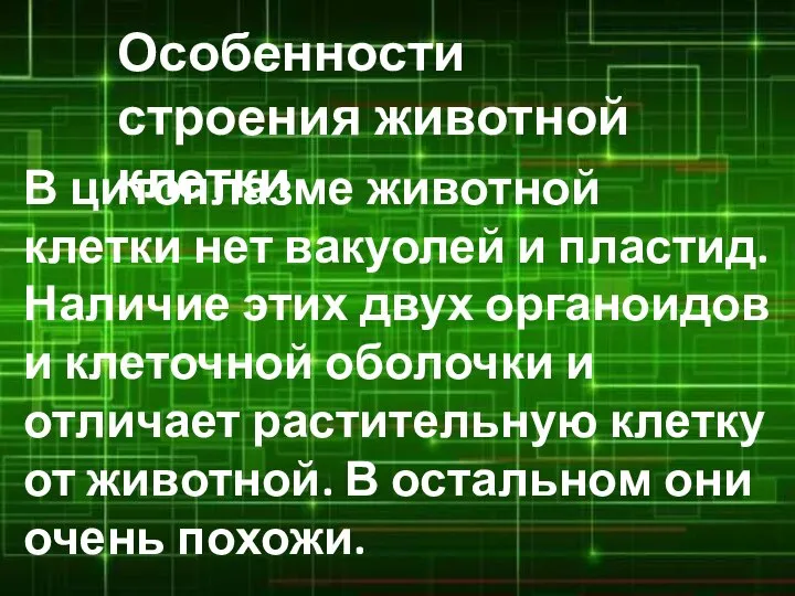 Особенности строения животной клетки В цитоплазме животной клетки нет вакуолей и