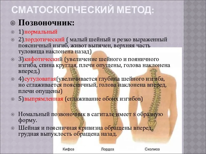 СМАТОСКОПЧЕСКИЙ МЕТОД: Позвоночник: 1)нормальный 2)лордотический ( малый шейный и резко выраженный