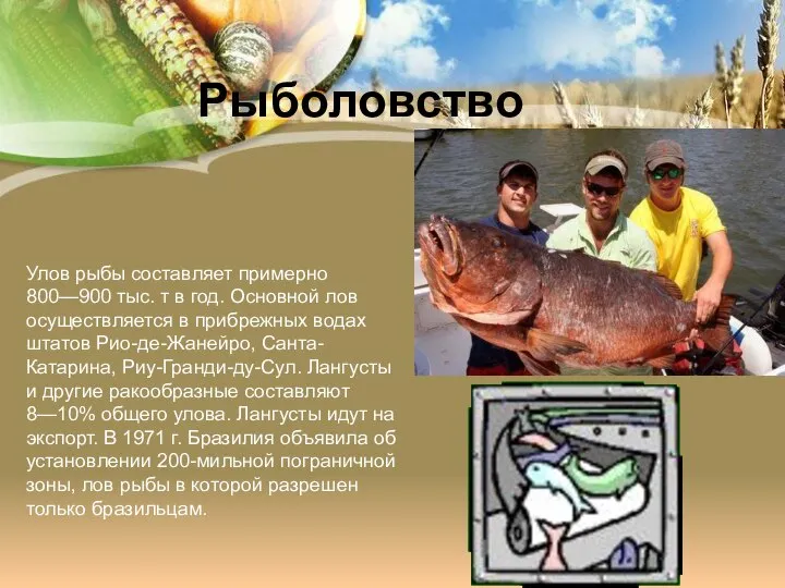 Улов рыбы составляет примерно 800—900 тыс. т в год. Основной лов