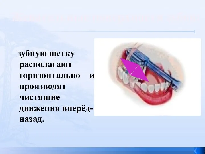 зубную щетку располагают горизонтально и производят чистящие движения вперёд-назад. Жевательные поверхности зубов: