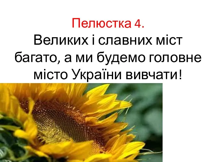 Пелюстка 4. Великих і славних міст багато, а ми будемо головне місто України вивчати!