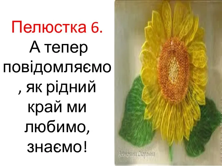 Пелюстка 6. А тепер повідомляємо, як рідний край ми любимо, знаємо!