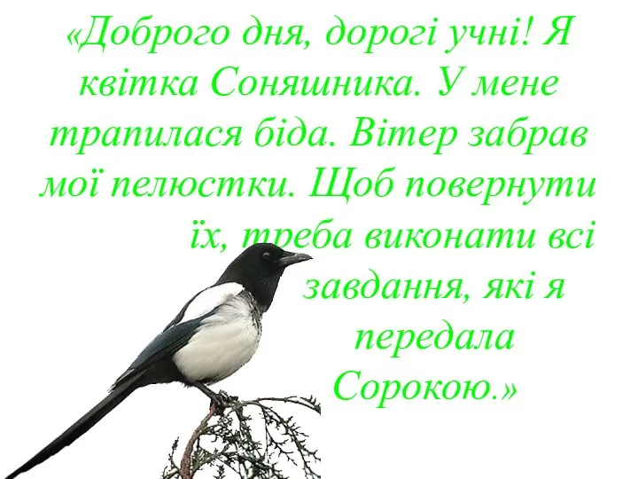 «Доброго дня, дорогі учні! Я квітка Соняшника. У мене трапилася біда.