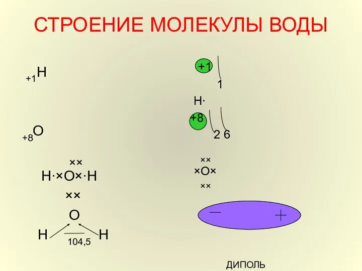 СТРОЕНИЕ МОЛЕКУЛЫ ВОДЫ +1Н +8О ×× Н∙×О×∙Н ×× О Н 104,5