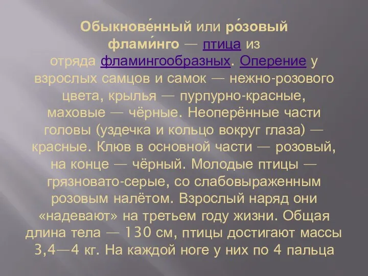 Обыкнове́нный или ро́зовый флами́нго — птица из отряда фламингообразных. Оперение у