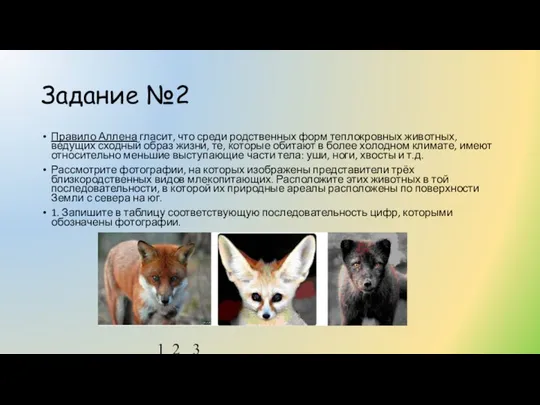 Задание №2 Правило Аллена гласит, что среди родственных форм теплокровных животных,