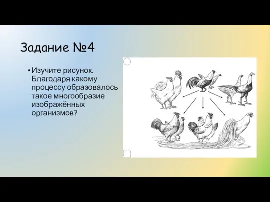 Задание №4 Изучите рисунок. Благодаря какому процессу образовалось такое многообразие изображённых организмов?