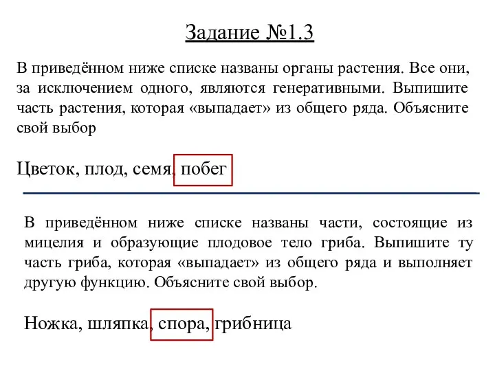 В приведённом ниже списке названы органы растения. Все они, за исключением