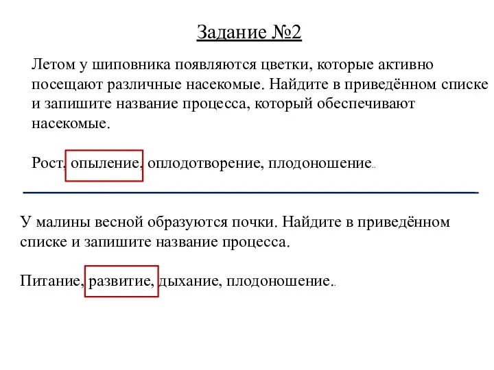 Летом у шиповника появляются цветки, которые активно посещают различные насекомые. Найдите