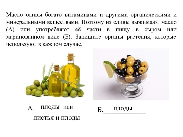 Масло оливы богато витаминами и другими органическими и минеральными веществами. Поэтому