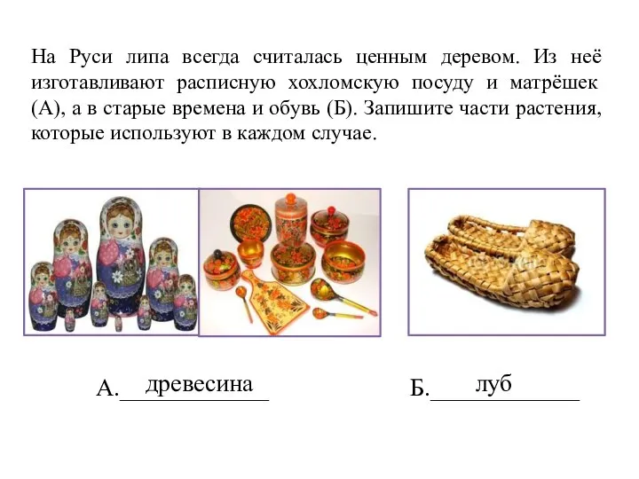 На Руси липа всегда считалась ценным деревом. Из неё изготавливают расписную