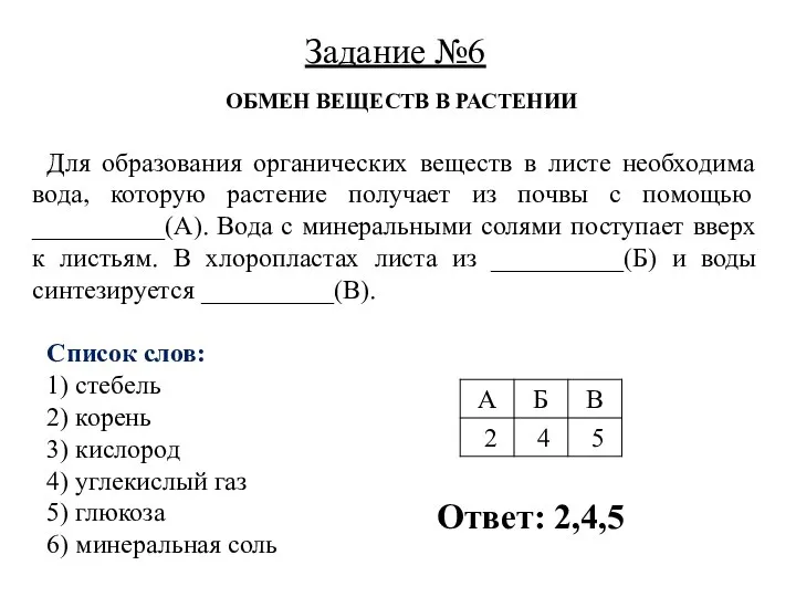 ОБМЕН ВЕЩЕСТВ В РАСТЕНИИ Для образования органических веществ в листе необходима