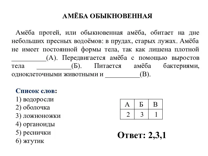 АМЁБА ОБЫКНОВЕННАЯ Амёба протей, или обыкновенная амёба, обитает на дне небольших