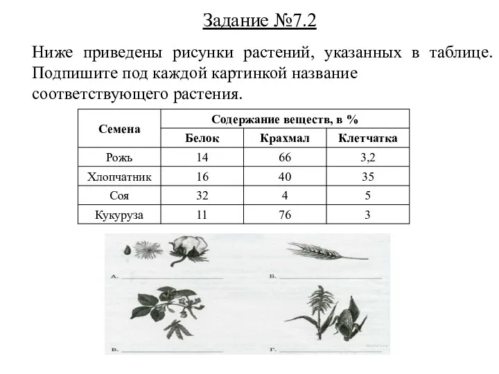 Задание №7.2 Ниже приведены рисунки растений, указанных в таблице. Подпишите под каждой картинкой название соответствующего растения.