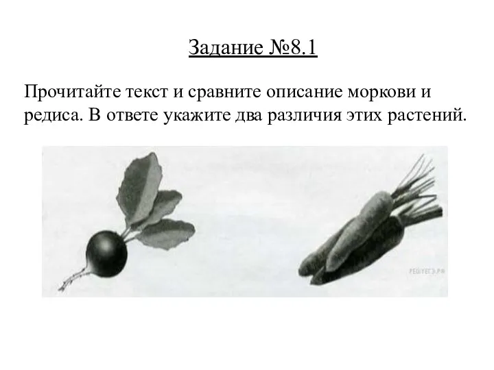 Задание №8.1 Прочитайте текст и сравните описание моркови и редиса. В