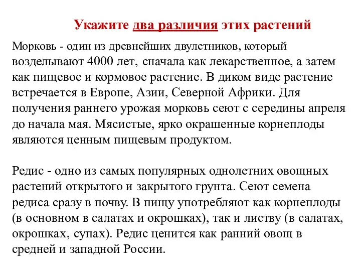 Морковь - один из древнейших двулетников, который возделывают 4000 лет‚ сначала