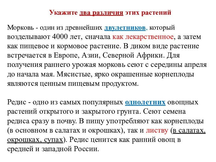 Морковь - один из древнейших двулетников, который возделывают 4000 лет‚ сначала