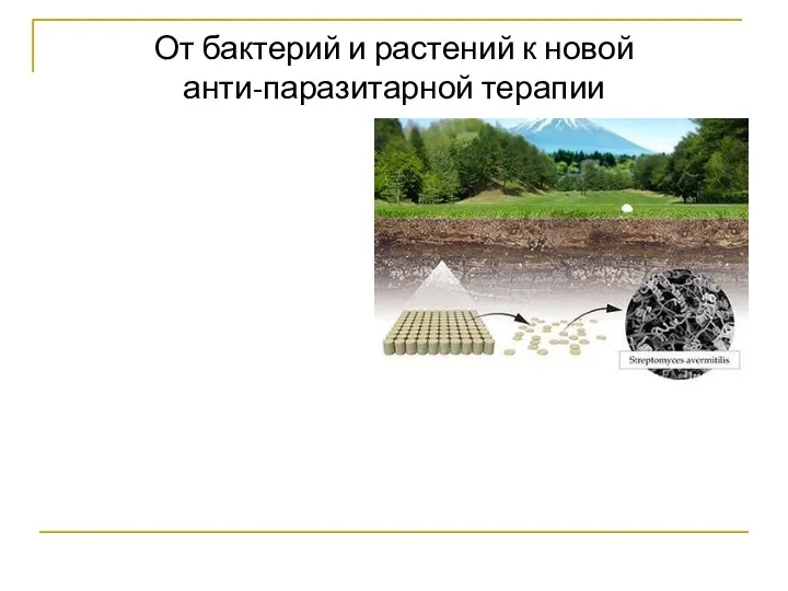 От бактерий и растений к новой анти-паразитарной терапии