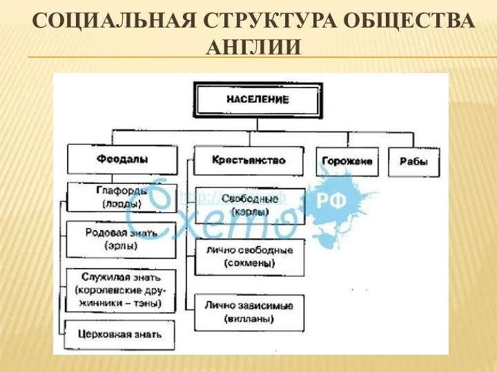 социальная структура общества Англии