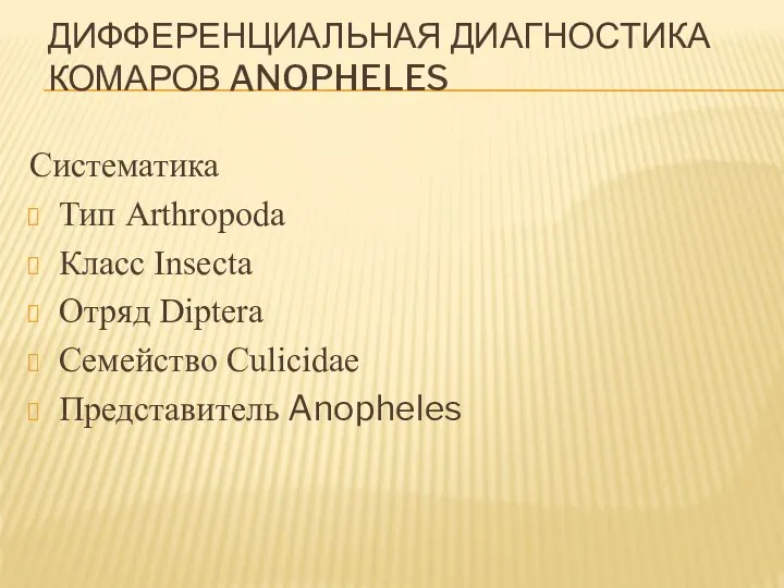 Дифференциальная диагностика комаров Anopheles Систематика Тип Arthropoda Класс Insecta Отряд Diptera Семейство Culicidae Представитель Anopheles