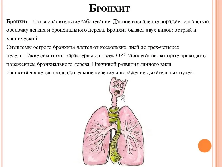 Бронхит Бронхит – это воспалительное заболевание. Данное воспаление поражает слизистую оболочку